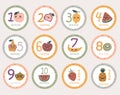 Monthly baby round stickers with kawaii fruits.