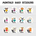 Monthly baby stickers for little girls and boys.