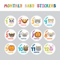 Monthly baby stickers for little girls and boys.