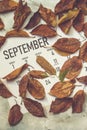 Monthly September 2019 calendar Royalty Free Stock Photo