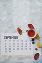 Monthly September 2019 calendar Royalty Free Stock Photo