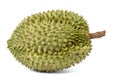 Monthong Durian. Thai fruit