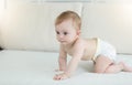 Adorable 10 months old baby boy in diapers crawling on bed