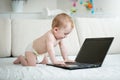 Cute 10 months old baby boy in diapers sitting on sofa and typing on laptop keyboard Royalty Free Stock Photo