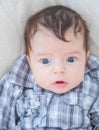 2 months old baby boy at home Royalty Free Stock Photo