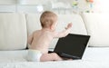 10 months old baby boy in diapers sitting on sofa and having video conference on laptop. You may insert your image on Royalty Free Stock Photo