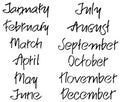 Months of the year. Handwritten words. vector