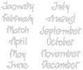 Months of the year. Handwritten words. vector