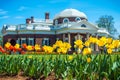 Monticello Tulip Garden Royalty Free Stock Photo
