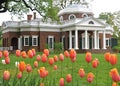 Monticello with tulips in foreground Royalty Free Stock Photo