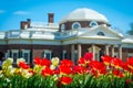 Monticello Tulips in Spring Royalty Free Stock Photo