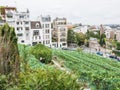 Montmartre Vineyard viewed from Renoir Gardens, Paris Royalty Free Stock Photo