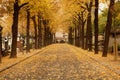 Montparnasse Cemetery Paris