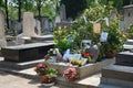 Montparnasse cemetery - Tomb of Serge Gainsbourg Royalty Free Stock Photo