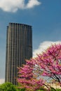 Montparnasse tower Royalty Free Stock Photo