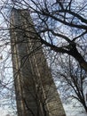 Montparnasse Tower and leafless tree in Paris