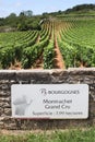 Montrachet grand cru, wine of Burgundy road sign, France