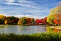 Montreal, Autumn, Quebec Canada