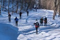 Mont-Royal Park in Montreal after snow storm Royalty Free Stock Photo