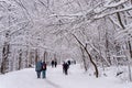 Mont-Royal Park in Montreal after snow storm Royalty Free Stock Photo