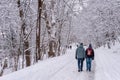 Mont-Royal Park in Montreal after snow storm Royalty Free Stock Photo