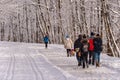 Mont-Royal Park in Montreal after snow storm Royalty Free Stock Photo