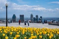 Tulips blooming at top of Mount Royal, Montreal skyline in distance Royalty Free Stock Photo