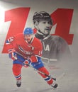 Montreal Canadians Thomas Plekanec