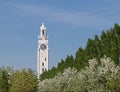 Montreal Clock Tower Royalty Free Stock Photo