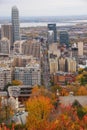 Highrise modern buildings downtown, Montreal, Quebec, Canada during fall, yellow autumn leaves leaf, Saint Lawrence River, bridge Royalty Free Stock Photo