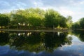 Reflections of trees on lake water, La Fontaine Park. Royalty Free Stock Photo