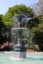 The cast-iron fountain is situated in Saint-Louis Square