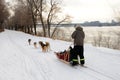 Dog sledding came to Montreal