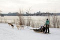 Dog sledding came to Montreal