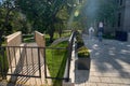 Montreal, Quebec, Canada September 14, 2018: McGill Campus - State Research University in English. A young family walks in the