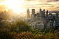 Montreal skyline from Mont Royal Royalty Free Stock Photo