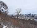 Montreal snow montroyal city winter