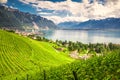 Montreux city with Swiss Alps, lake Geneva and vineyard on Lavaux region, Canton Vaud, Switzerland, Europe Royalty Free Stock Photo