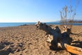 Montroig beach Royalty Free Stock Photo