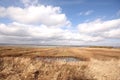 Montrose Basin Royalty Free Stock Photo