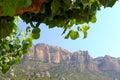 Montsant mountains, Priorat (aka Priorato), Spain