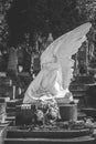 Monument of angel at Lychakiv cemetery, Lviv, Ukraine Royalty Free Stock Photo