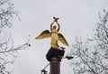 Monument angel with pigeons at the krasnodar city