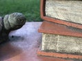 A monument in Bucha, Ukraine features a stack of books and a turtle Royalty Free Stock Photo