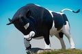 Bull - symbol of livestock Royalty Free Stock Photo