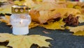 Monument and candles in the cemetery. All Saints Day in Poland. Candle in the cemetery. Candle in the yellow leaves. Royalty Free Stock Photo