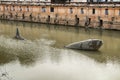 Monument dedicated to the sardine in the Segura rivers