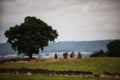 Monument with four remaining stones. Nine Stones Close, Gray Ladies. Derbyshire, England.