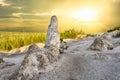 Monument Geyser Basin Spire in Yellowstone Royalty Free Stock Photo