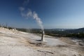 Monument Geyser Thermos Bottle Geyser  Yellowstone National Park  USA Royalty Free Stock Photo